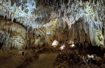 Stingrays, Starfish and Crystal Cave Adventure