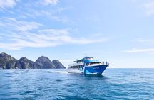 Half-day Resurrection Bay & Wildlife Tour from Seward