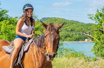 Jamaica Horseback Riding Experience Missile Green Island Hanover