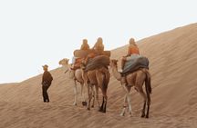 Camel ride, Canyon visit, and tea picnic in the Agadir Desert