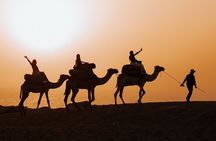 Camel ride, Canyon visit, and tea picnic in the Agadir Desert