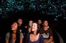 Auckland: Te Puia Rotorua & Waitomo Caves Small Group with Lunch