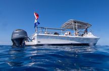 Kona Coast Boat Snorkel