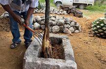 Ancestral Mezcal Tour Experience A pre Hispanic Heritage