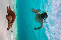 Crystal blue cozumel awaits you