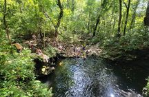 LLanos Del Cortes Waterfall Adventure and Liberia City Tour