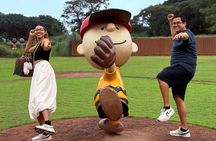 Small Group Tour for Jeju Autumn Snoopy Garden and Tangerine Cafe