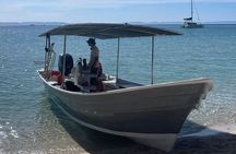 Sea Lion Snorkel Adventure at Espíritu Santo Island