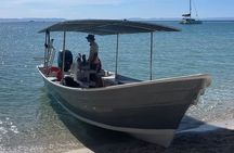 Wildlife expedition in the Sea of Cortez private trip