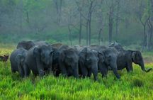 Kerala 6 Day Tour Munnar Thekkady Alleppey Kovalam Beaches