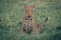 6-Day Kenya Big Five Wildlife and Adventure Safari