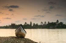 Kerala 6 Day Tour Munnar Thekkady Alleppey Kovalam Beaches