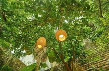 Rose Kitchen Hanoi: Market, Cooking & Culture Tour + Free PickUp 