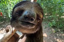 Roatán Sloths, Monkeys & West Bay Beach Day Pass