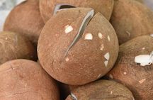 Thai Cooking Class with Market Tour in Sathon Bangkok