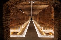 Wine tour and Wine tasting