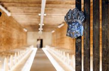 Wine tour and Wine tasting