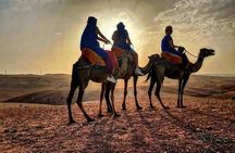  Agafay Sunset Tour: Quad, Camel Ride & Dinner Show