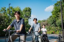 Tokyo: Private Electric Bike Tour of City Highlights