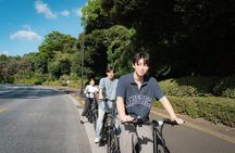 Tokyo: Private Electric Bike Tour of City Highlights