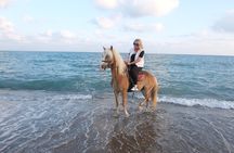 Horseback Riding on the Beach and through the Forest 