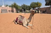 Private Abu Dhabi City Tour with Pick up from Dubai or Abu Dhabi