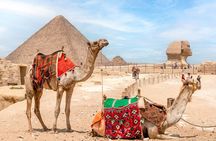 Sharm El-Sheikh : Full-Day Tour of Cairo and Pyramids by Bus