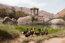 Desert Experience: Wahiba Sands & Wadi Bani Khalid Full-Day Tour