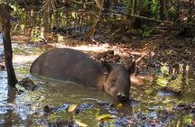 Corcovado, Siren Station — Private Tour 2 Days 1 Night