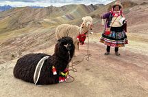 Palccoyo Rainbow Mountain Tour - Scenic Hike & Andean Lunch
