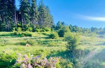 From Sofia The Beauty of the Countryside and a Homemade Lunch