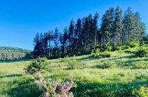 From Sofia The Beauty of the Countryside and a Homemade Lunch