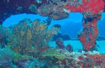 2-Tank Group Dive Experience (Certified Divers Only) in Anguilla