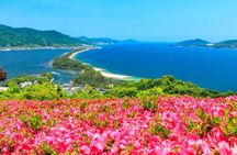 Kyoto Tango Railway Amanohashidate and Ine Bay Trip from Osaka