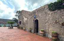 Secrets in Los Altos del Tequila