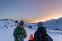 Tromsø: Arctic Snowshoe Hike with Local Guides