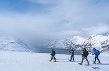 Tromsø: Arctic Snowshoe Hike with Local Guides