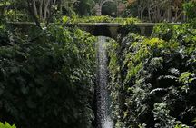 Tour to Hacienda Mucuyché, 2 cenotes & Oxkintok from Merida