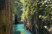 Tour to Hacienda Mucuyché, 2 cenotes & Oxkintok from Merida