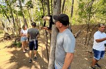 Private Family Adventure Tour to Puntarenas