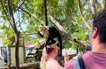 Private Family Adventure Tour to Puntarenas