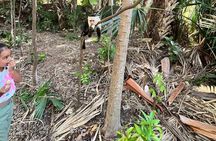 Private Family Adventure Tour to Puntarenas