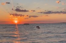 Destin Private Boat Tours Dolphin Crab Island Snorkel Sunset 