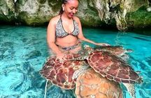 Zanzibar Dolphin and Snorkeling Tour with Beach Lunch