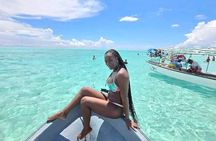 Zanzibar Dolphin and Snorkeling Tour with Beach Lunch