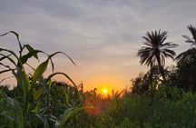 Luxor and Aswan Tour to Ancient Landmarks Felucca Nile cruise