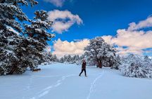 Big Bear Lake Snow Play Adventure
