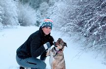 Big Bear Lake Snow Play Adventure