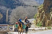 Marrakech: 1-Day Atlas Mountains with Imlil Valley & Waterfalls