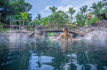 Arenal Volcano & Hot Springs Full-Day Tour from San José